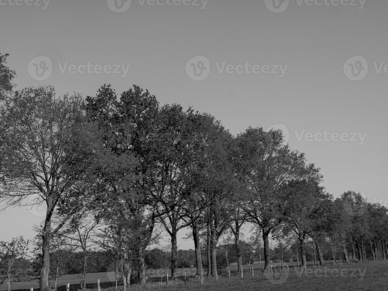 in the german muensterland photo