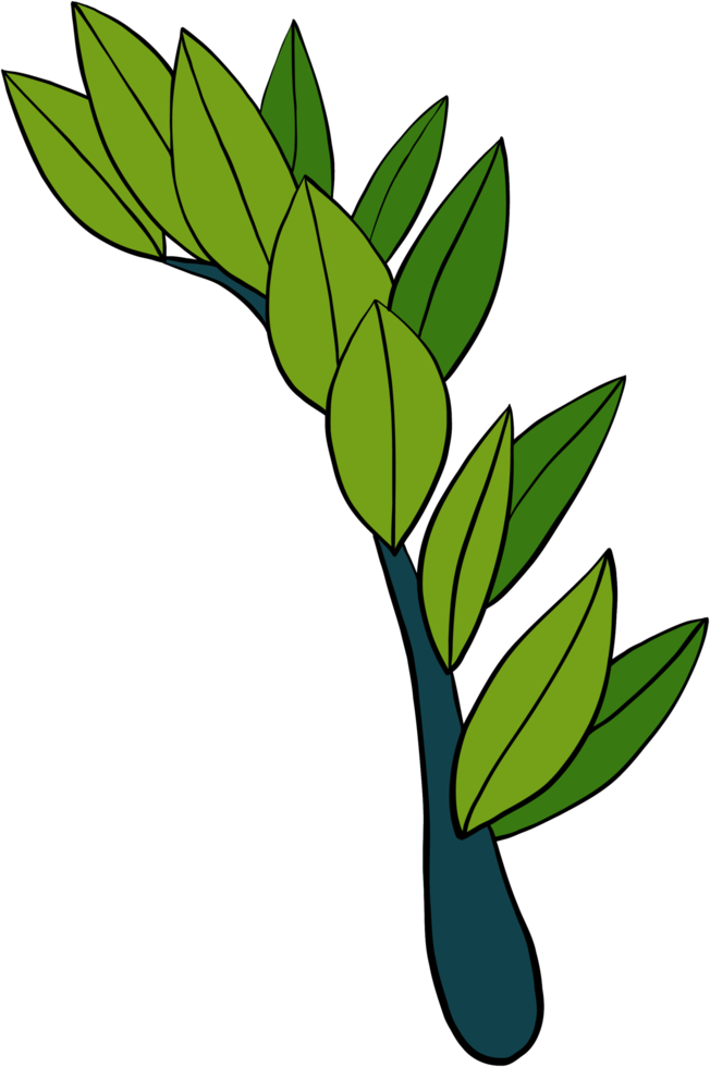 eenvoud zanzibar gem plant eenvoud uit de vrije hand tekenen plat ontwerp. png