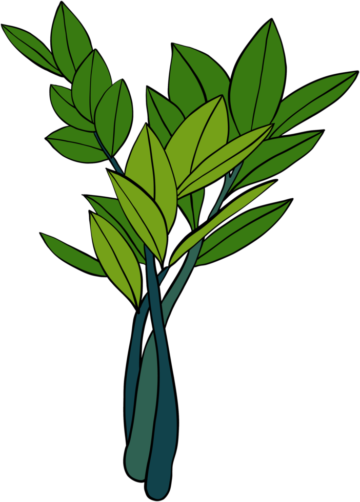 eenvoud zanzibar gem plant eenvoud uit de vrije hand tekenen plat ontwerp. png