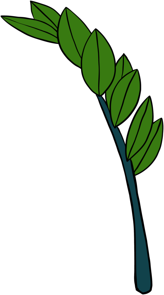 simplicity zanzibar gem plant simplicity freehand drawing flat design. png