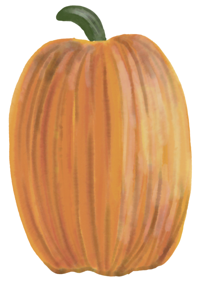 watercolor painting of pumpkin vegetable. png