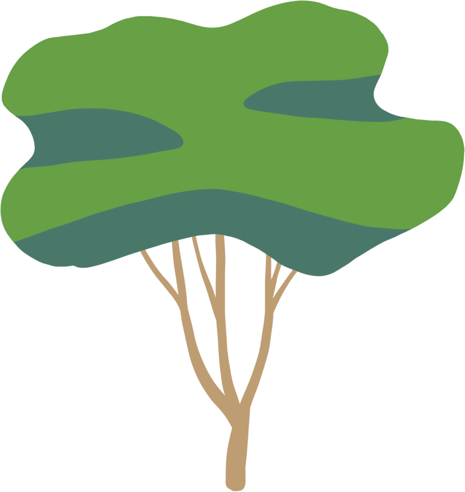 simplicity tree freehand drawing flat design. png