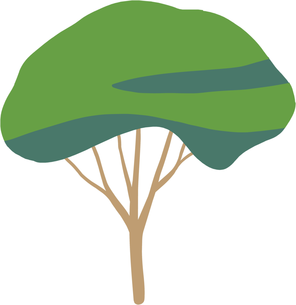simplicity tree freehand drawing flat design. png