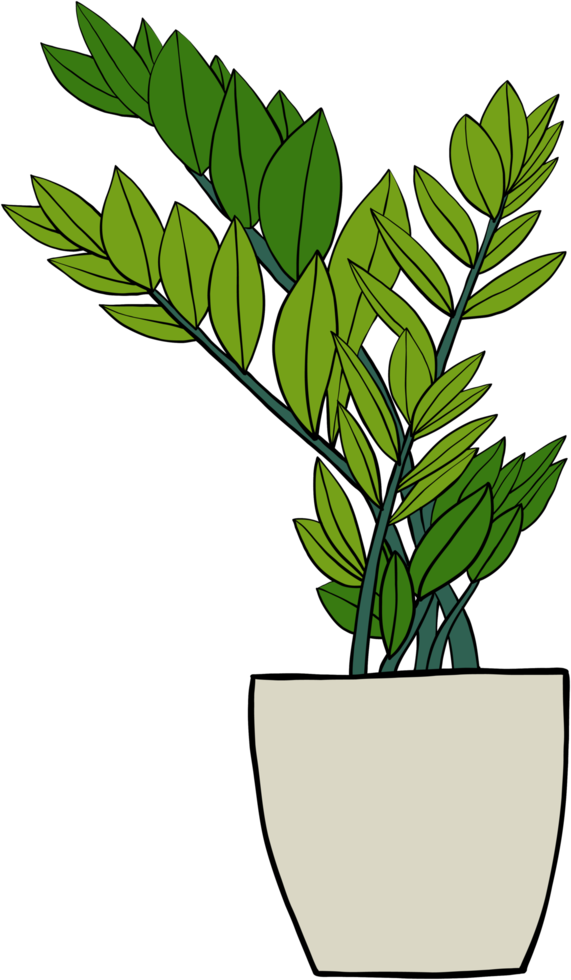 eenvoud zanzibar gem plant eenvoud uit de vrije hand tekenen plat ontwerp. png