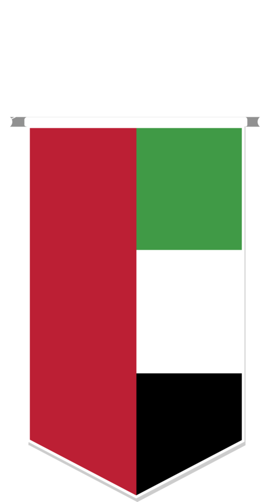 unito arabo Emirates bandiera nel calcio stendardo, vario forma. png