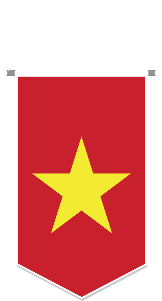 Vietnam flag in soccer pennant, various shape. png