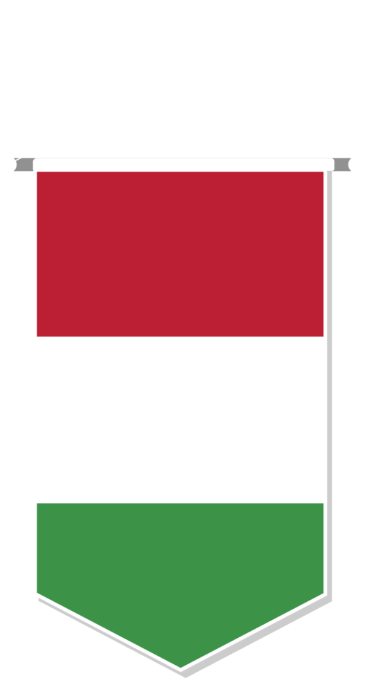 Hungary flag in soccer pennant, various shape. png