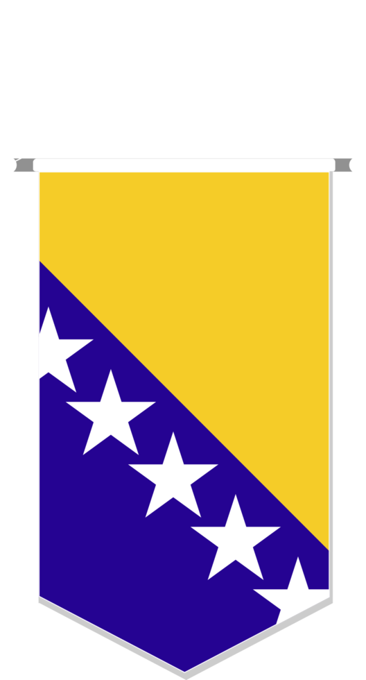 Bosnia and Herzegovina flag in soccer pennant, various shape. png