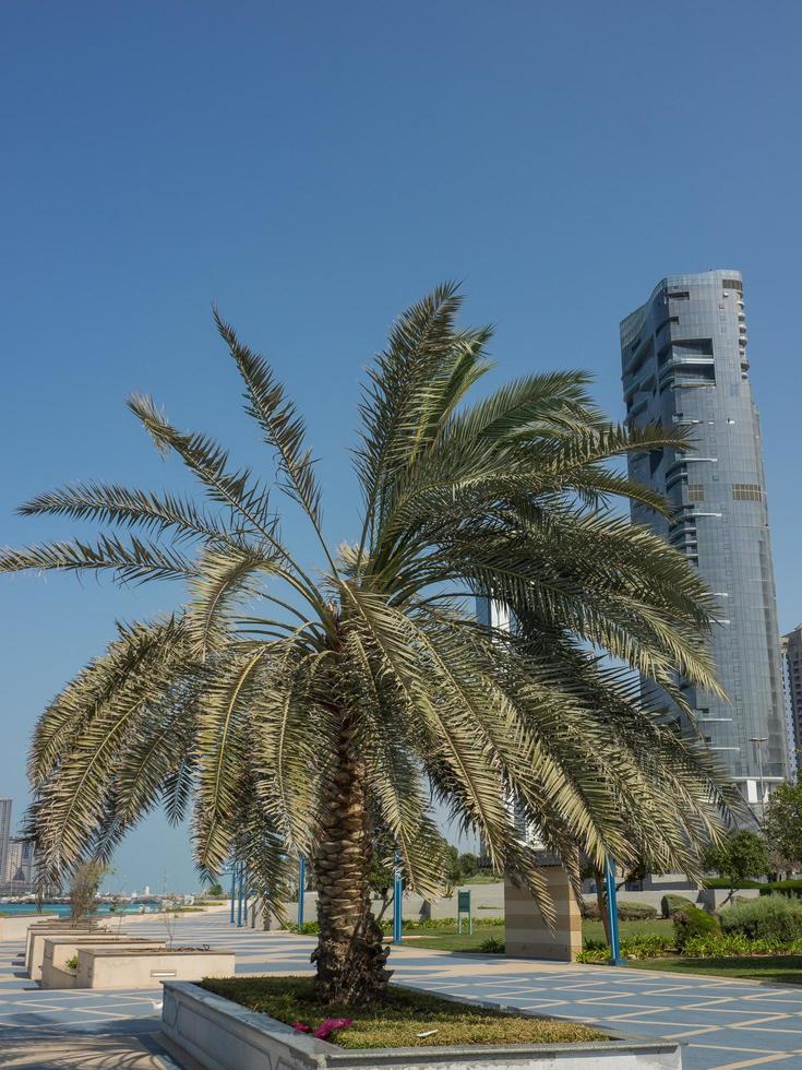 abu dhabi city photo