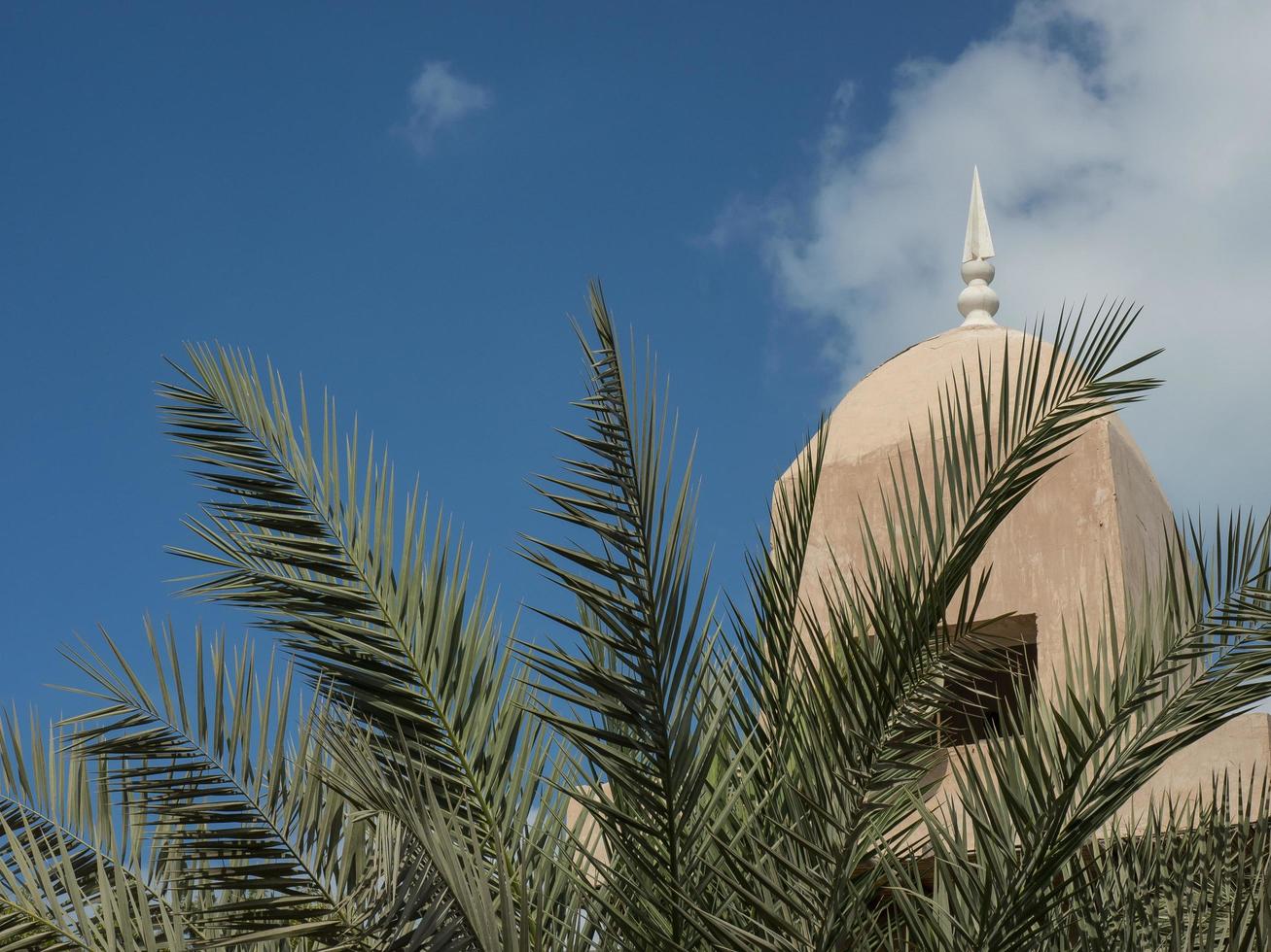 the city of abu dhabi photo