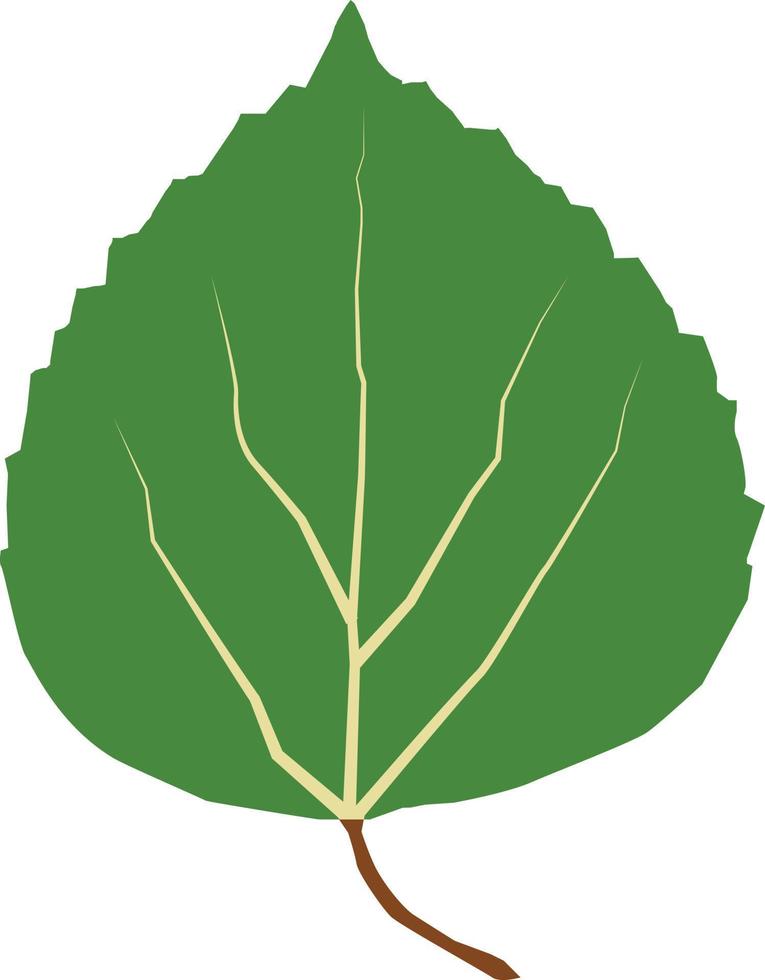 icono de hoja de álamo sobre fondo blanco. hoja verde de álamo temblón. estilo plano vector