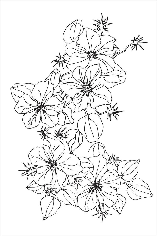 climatis flowers in doodle style, coloring book with flowers for children and adults vector