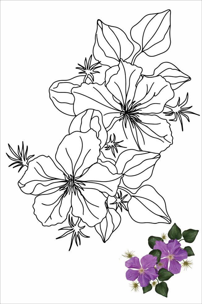 climatis flower coloring book with flowers for children and adults, decorative flower in doodle style vector