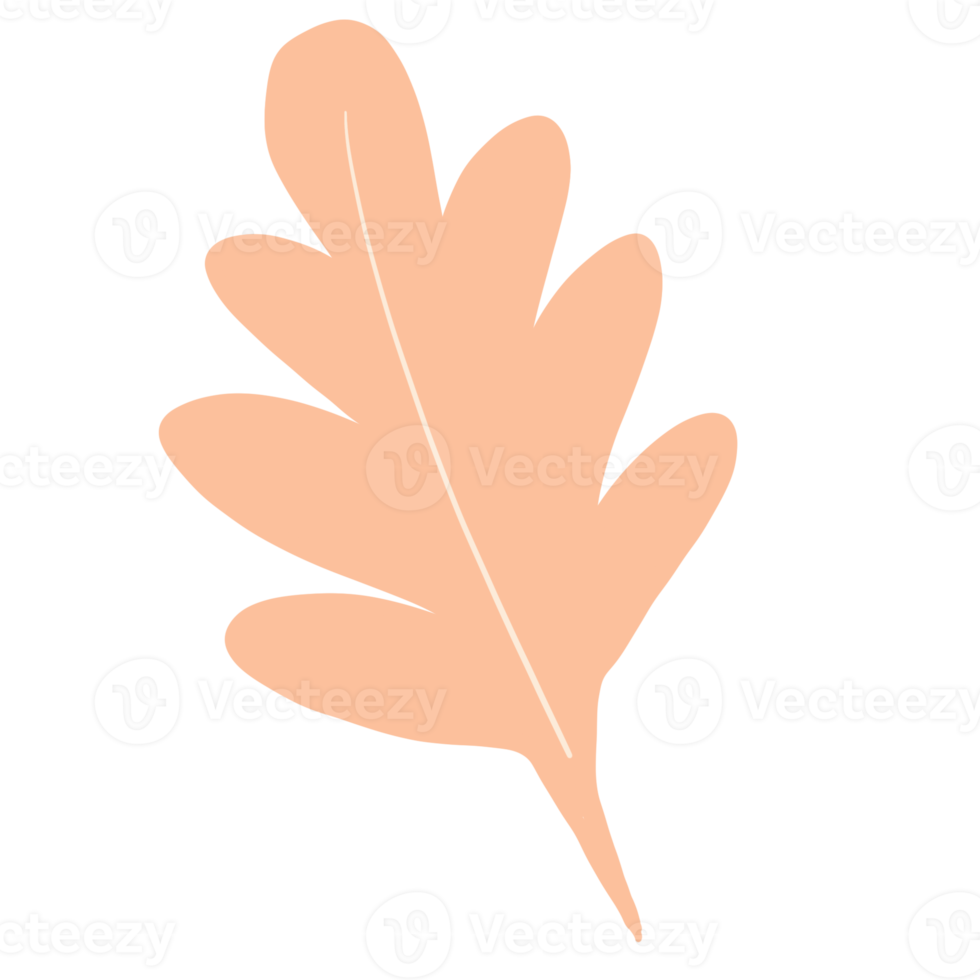 blommig för dekoration png