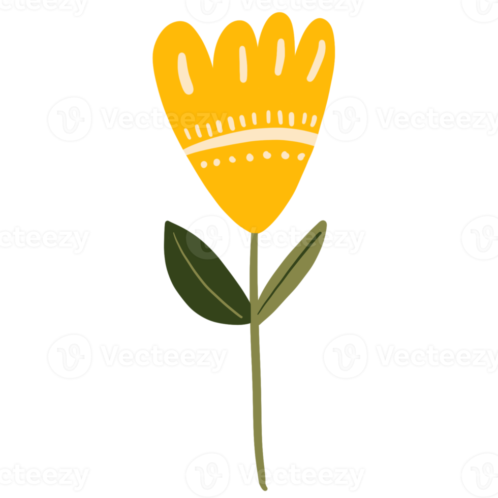 bloemen voor decoratie png