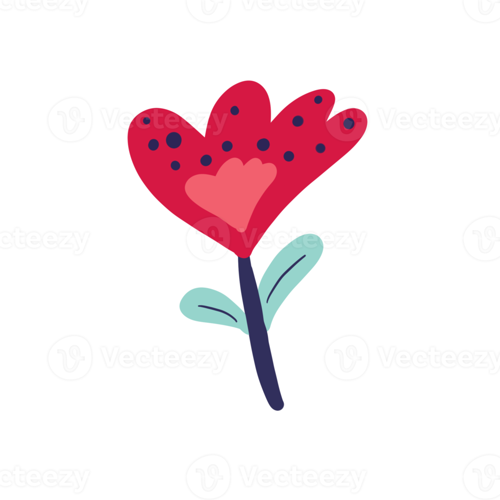 Floral for decoration png