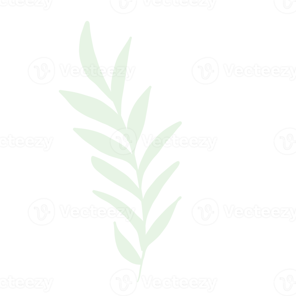 Floral for decoration png