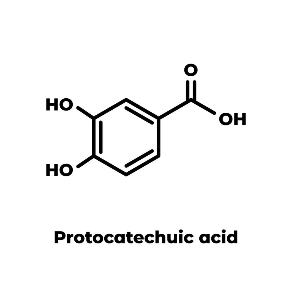 Molécula antioxidante del té verde pca del ácido protocatequiico. fórmula esquelética sobre fondo blanco. vector