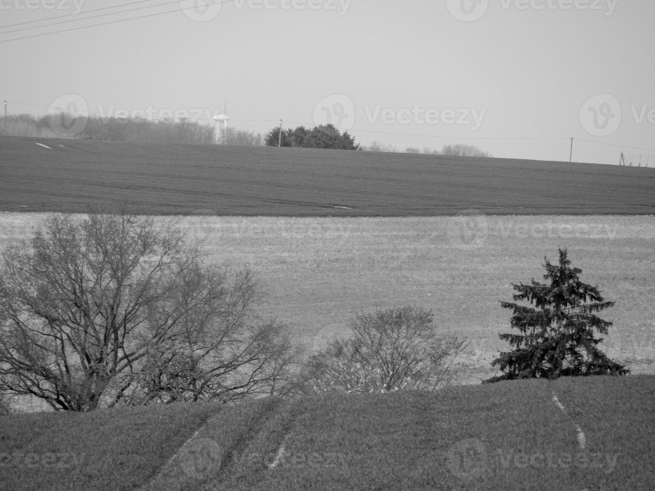 Hiking in the german westphalia photo