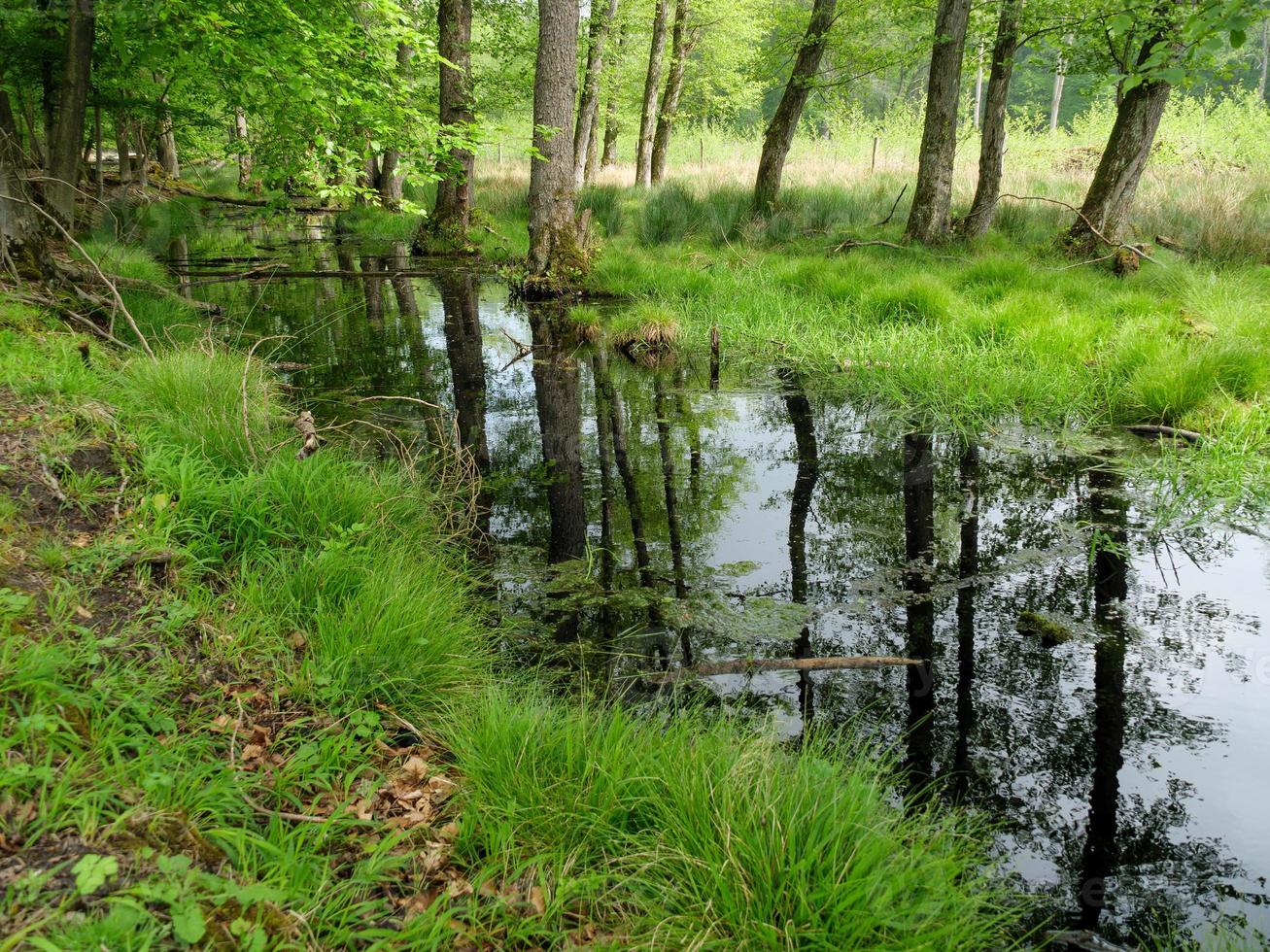 hiking in duelmen westphalia photo