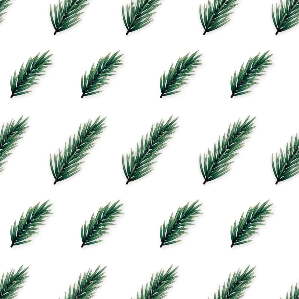 Minimalist seamless pattern with realistic fir branches on white background. vector