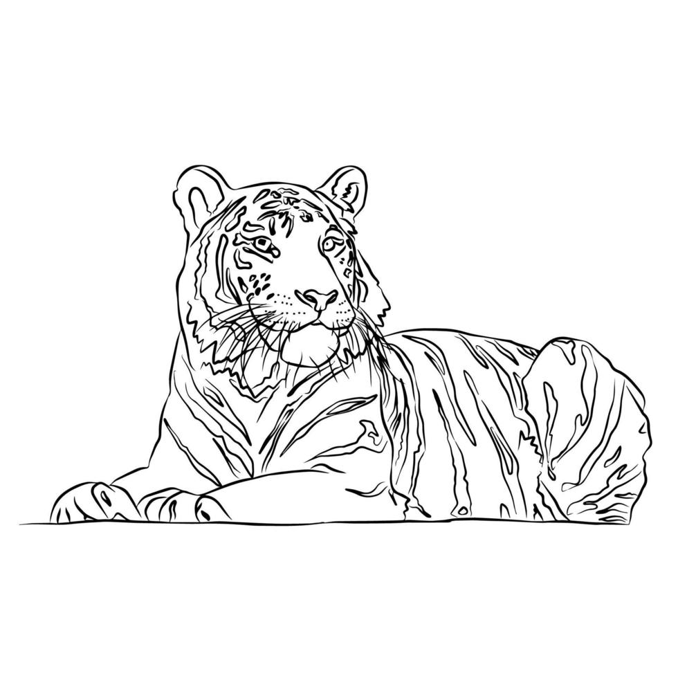 It's a beautiful tiger picture. vector