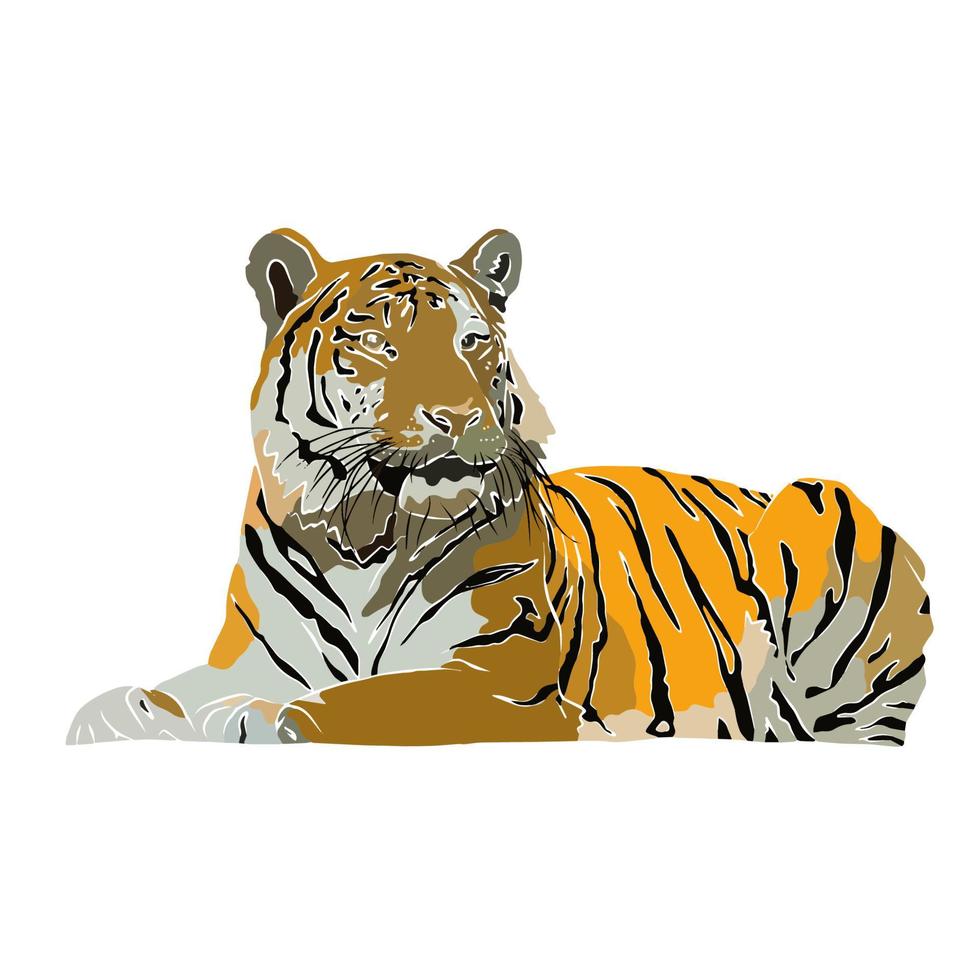 es una hermosa imagen de tigre. vector