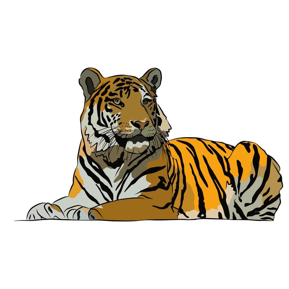 es una hermosa imagen de tigre. vector