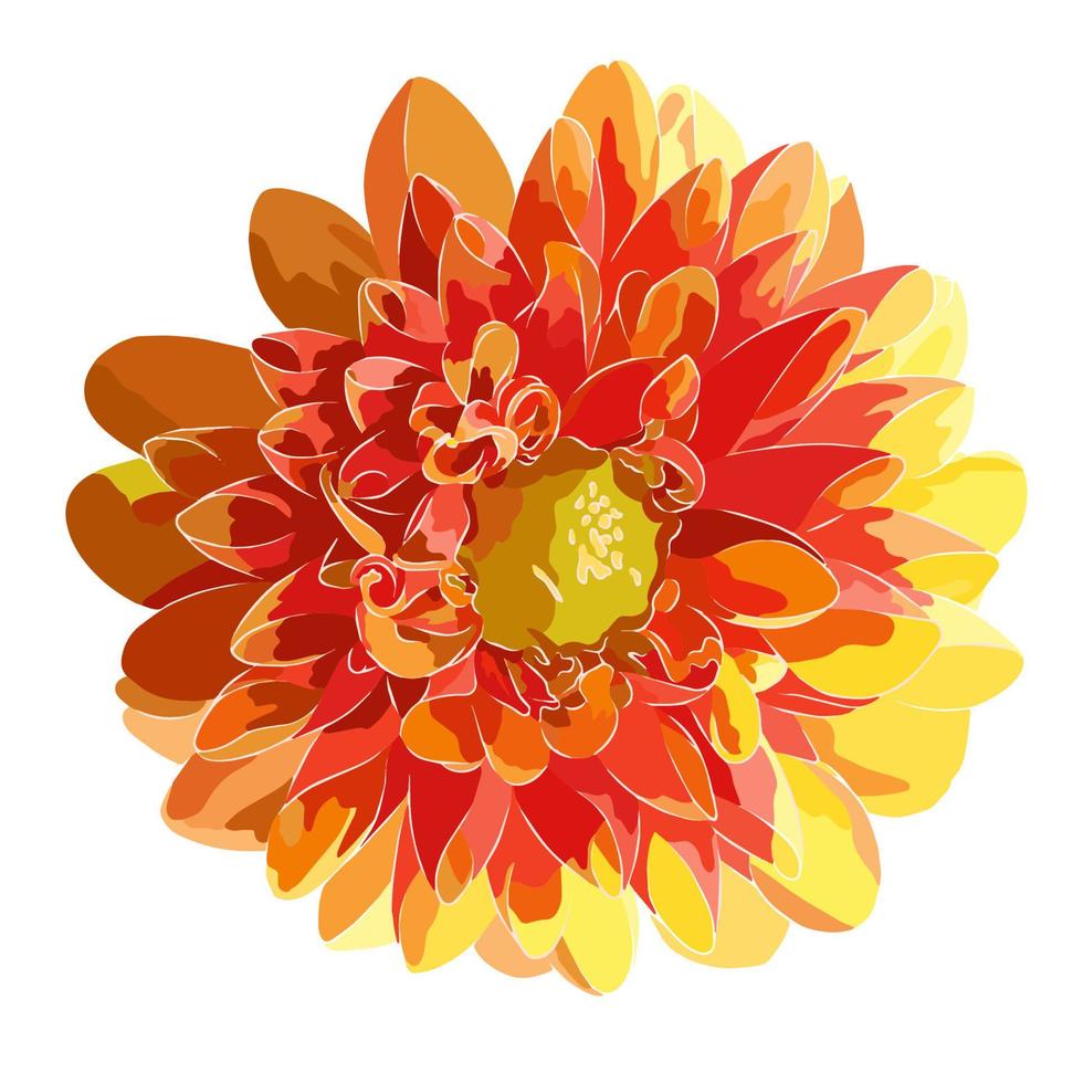 It's a beautiful flower picture. vector