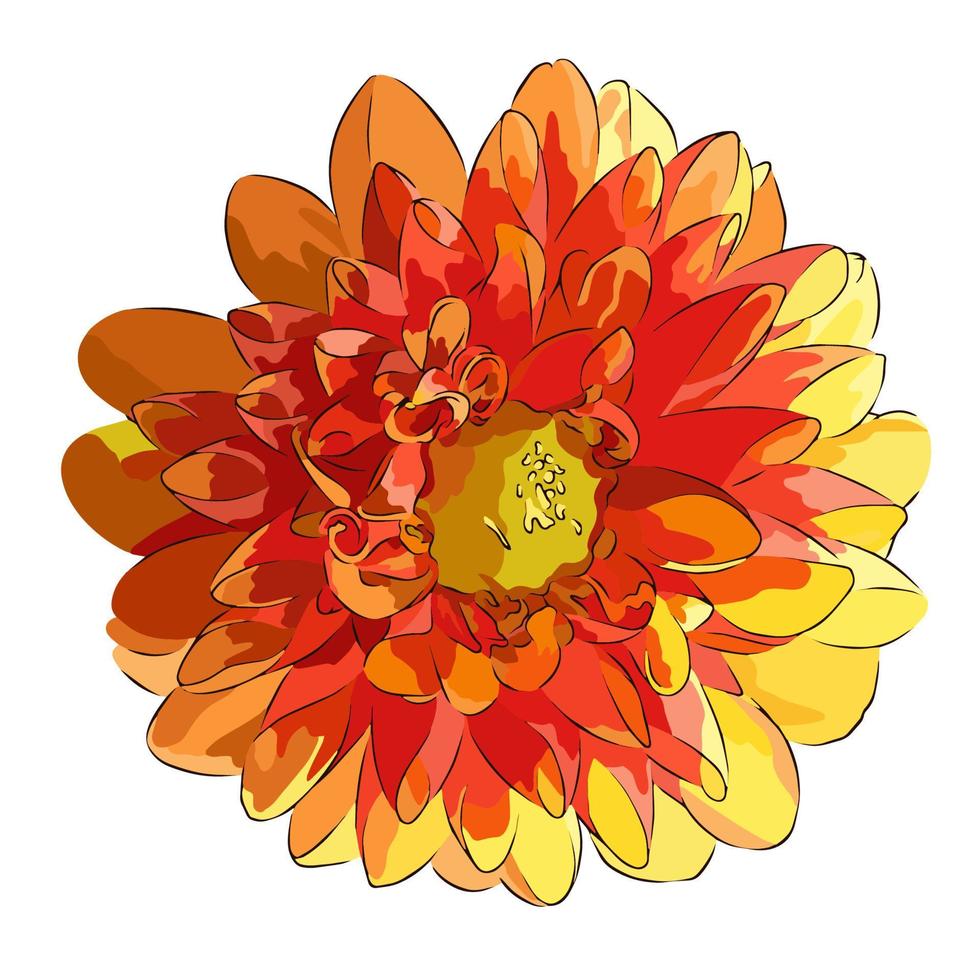 It's a beautiful flower picture. vector