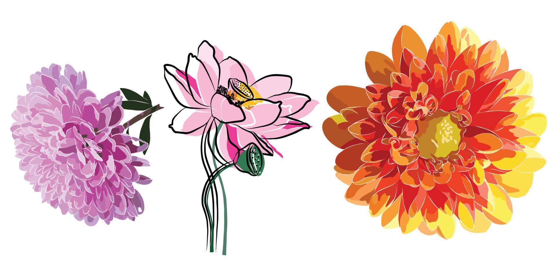 It's a beautiful flower picture. vector