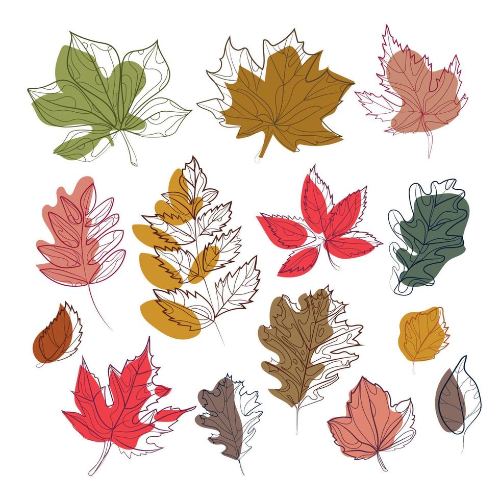 Autumn leaves set Abstract art drawing isolated vector illustration.Stylized different colorful leaves in modern minimal line art style,botanic foliage elements for design decoration