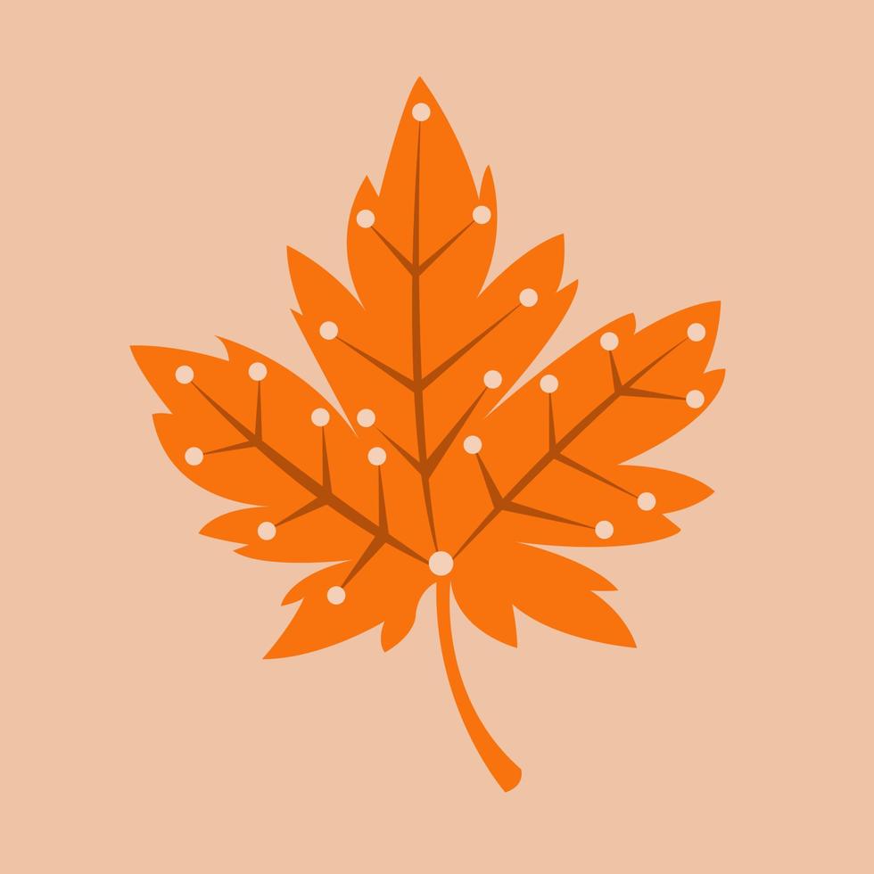 Autumn dry leaf vector illustration for graphic design and decorative element