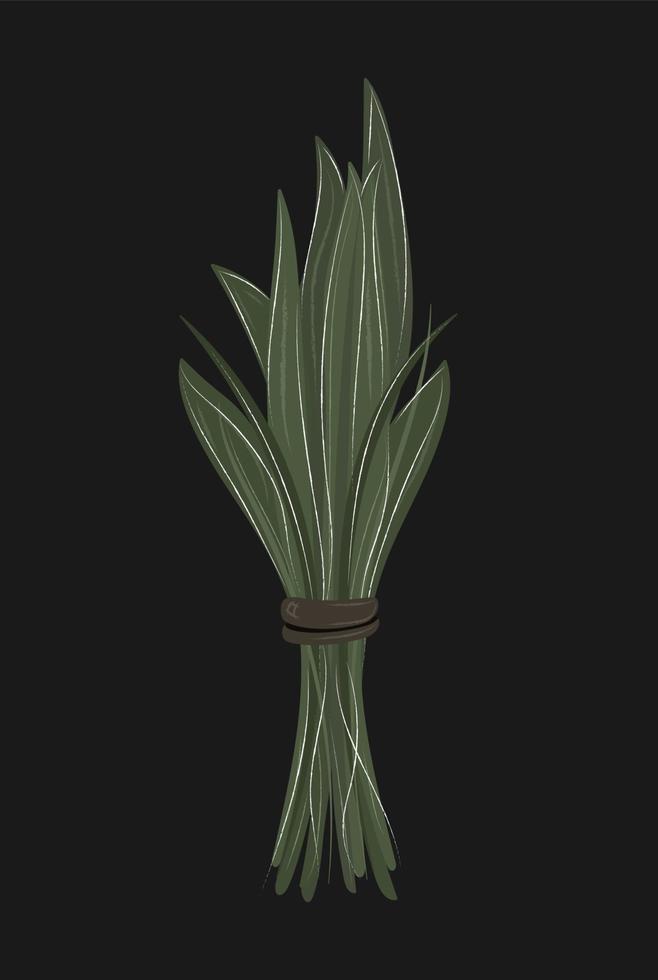 manojo de garabatos de plantas aisladas. ramo dibujado a mano de hojas verdes. ilustración vectorial vector