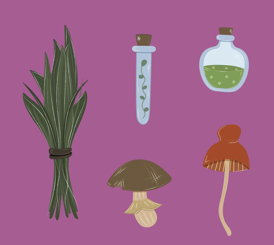 Witchcraft items isolated doodle set. Magical stickers clip art hand drawn mushrooms, plants, potions. Vector halloween illustration