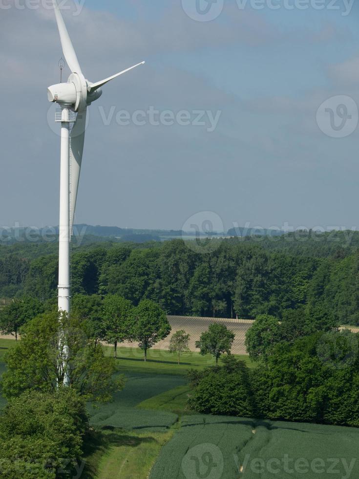 el baumberge alemán cerca de billerbeck foto