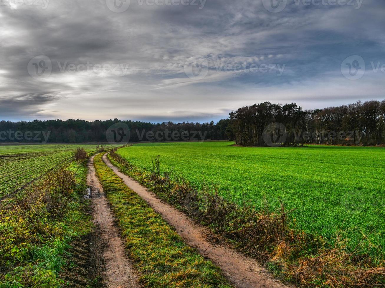 hiking near reken in the german muensterland photo