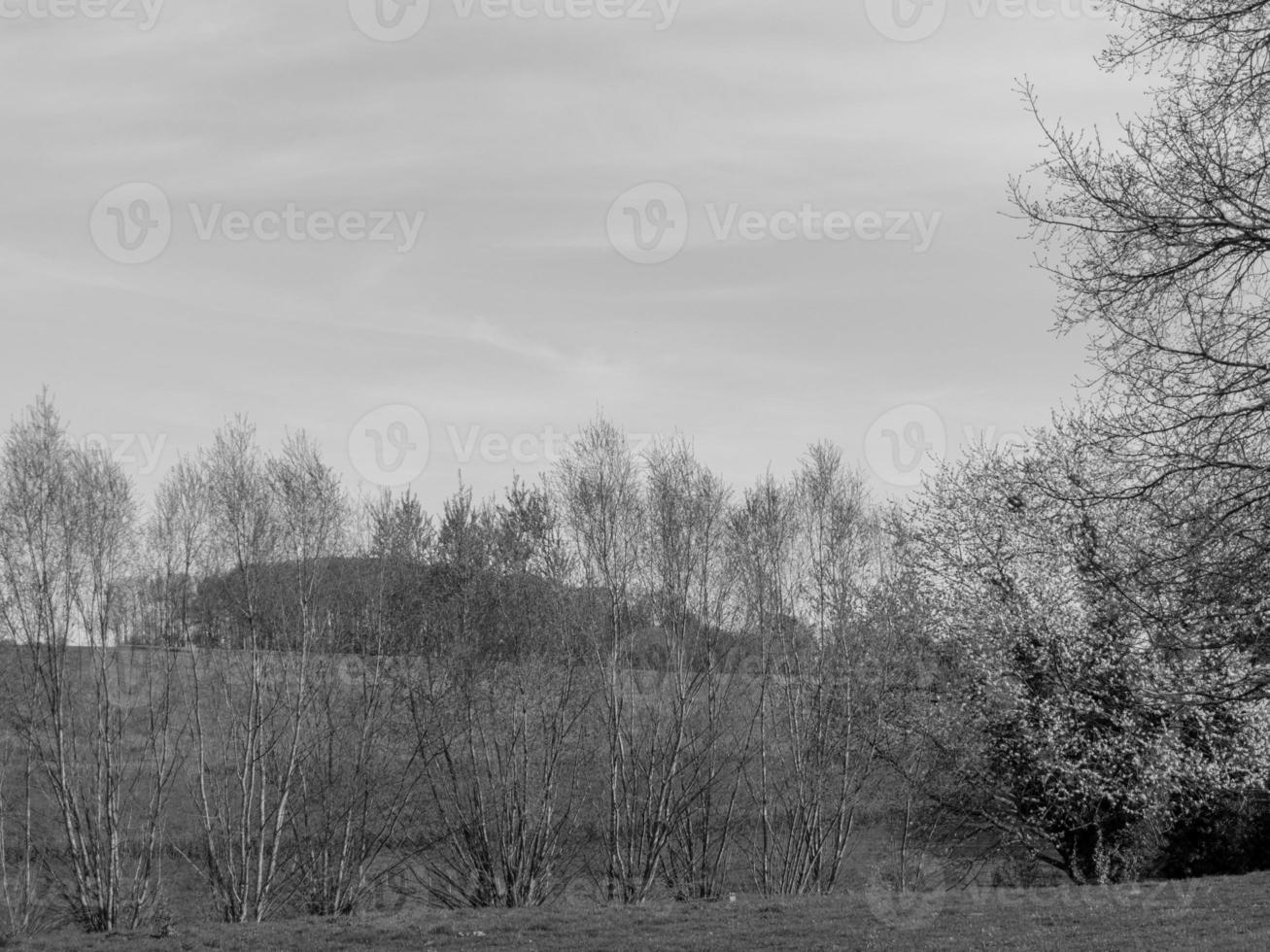 hiking in the german muensterland photo