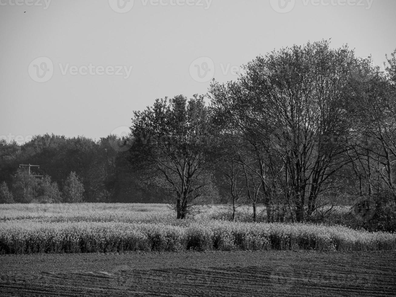 in the german muensterland photo