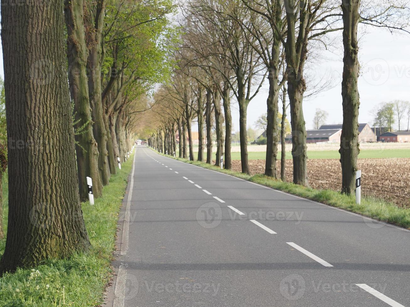 tiempo de primavera en weseke alemania foto