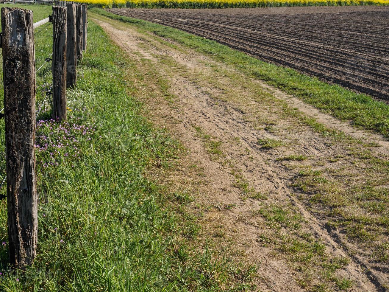 hiking near reken in the german muensterland photo