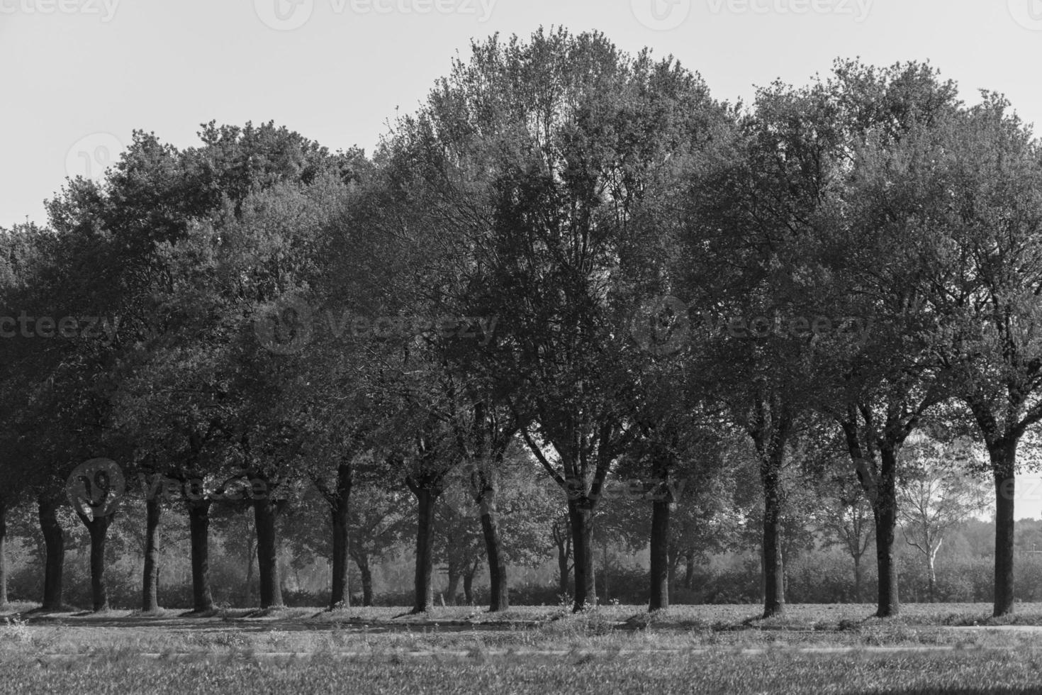 the german muensterland photo