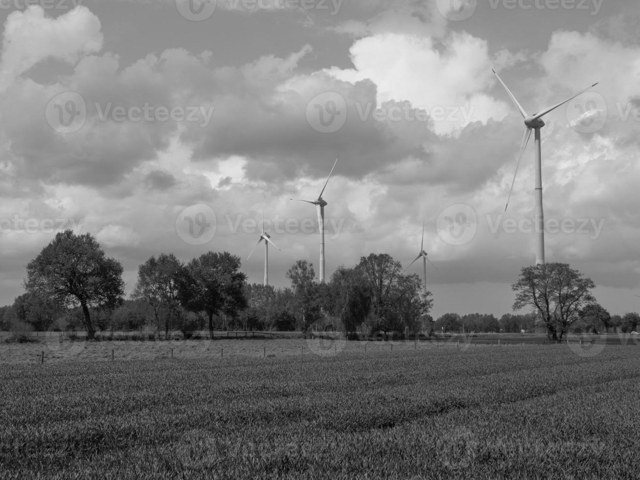 in the german muensterland photo