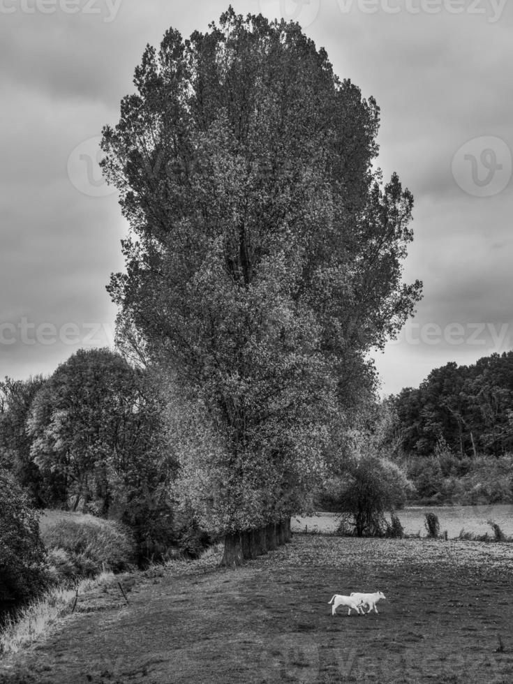 Autumn time in westphalia photo