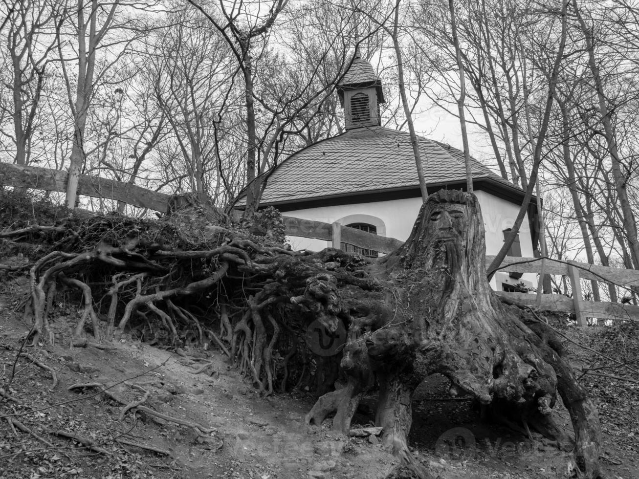 Hiking in the german westphalia photo