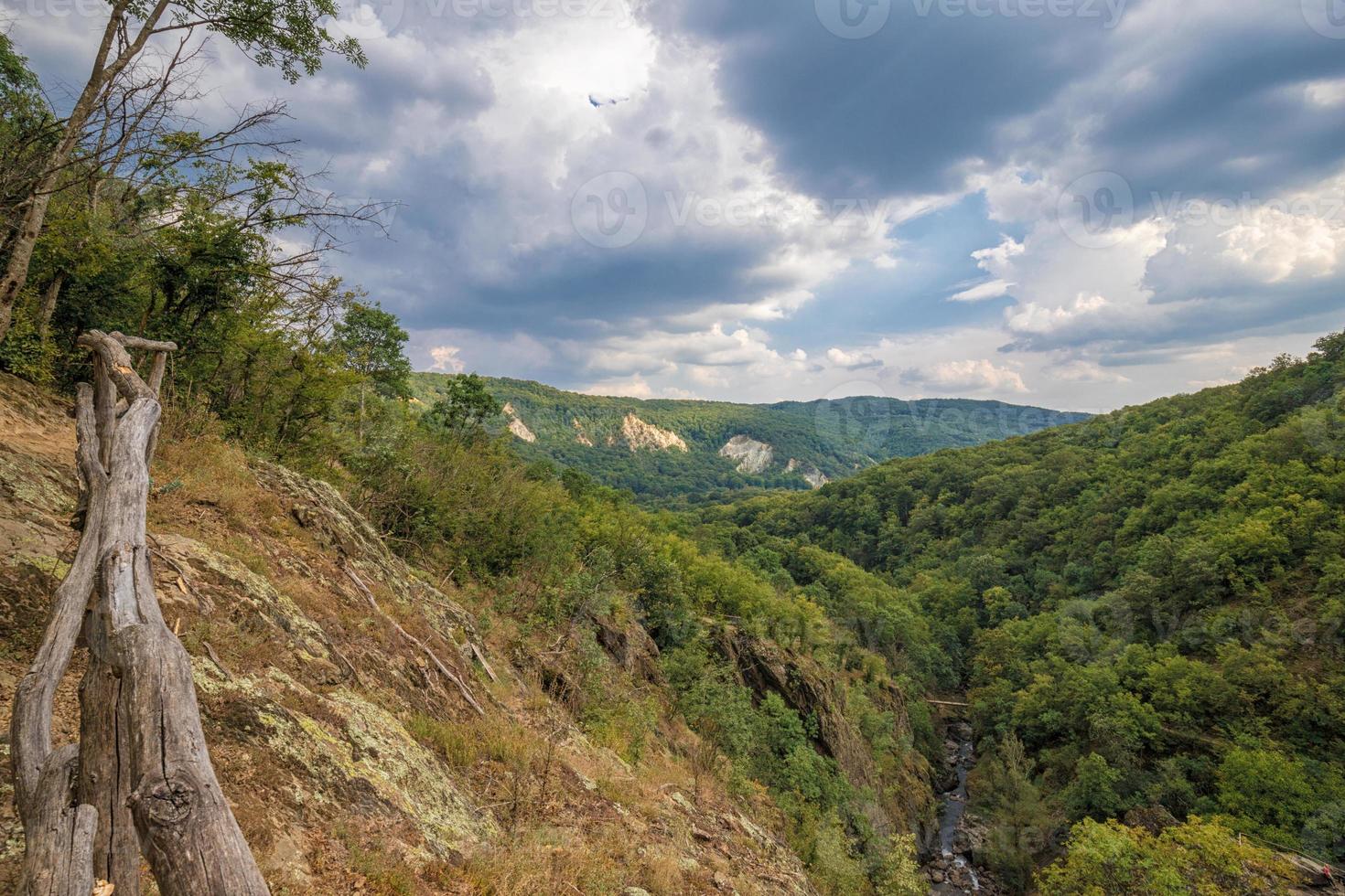 vasto paisaje montañoso con colinas y bosques foto