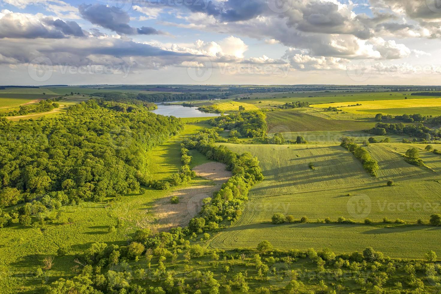 Aerial view from drone of beautiful fresh green countryside and at summer photo