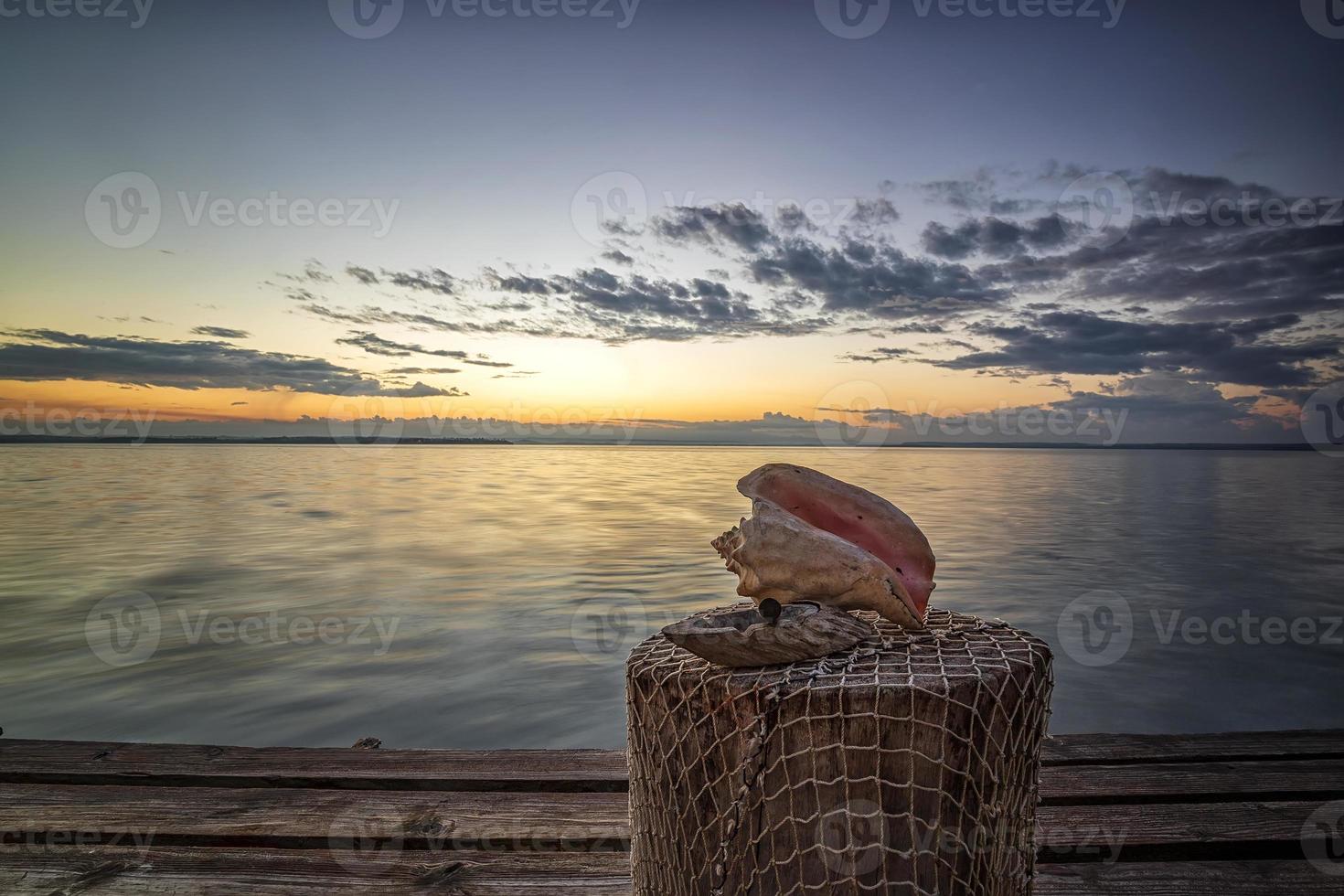 Idyllic view with seashell against the backdrop of the sea sunrise or sunset. A tropical vacation. photo