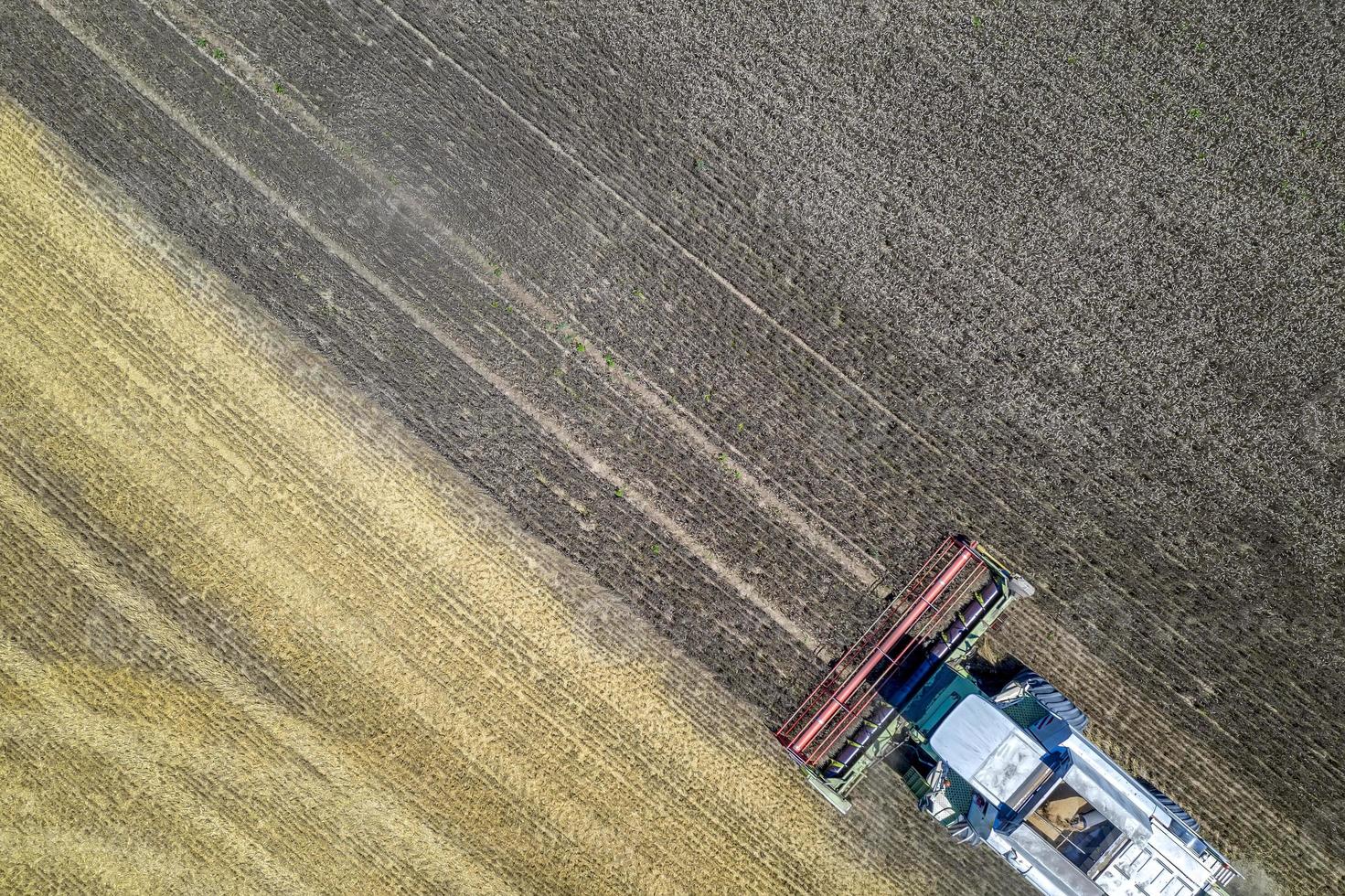 Aerial view drone of harvesting field with combine mows wheat.  Harvesting in the fields. Top view photo