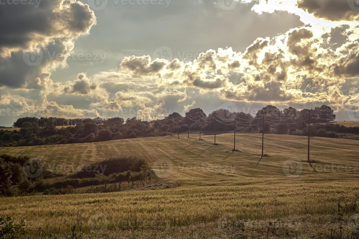 electric transmission lines stretching over a farm fields and forest in cloudy day. photo